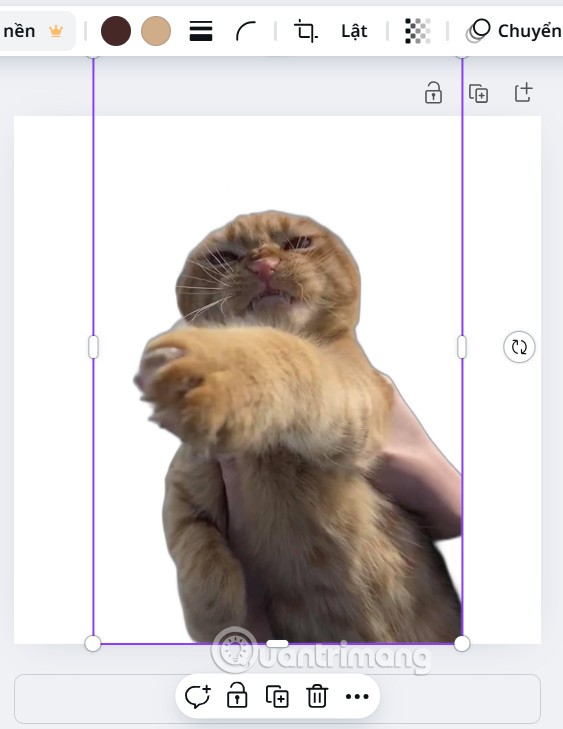 Como criar um fundo transparente no Canva de graça