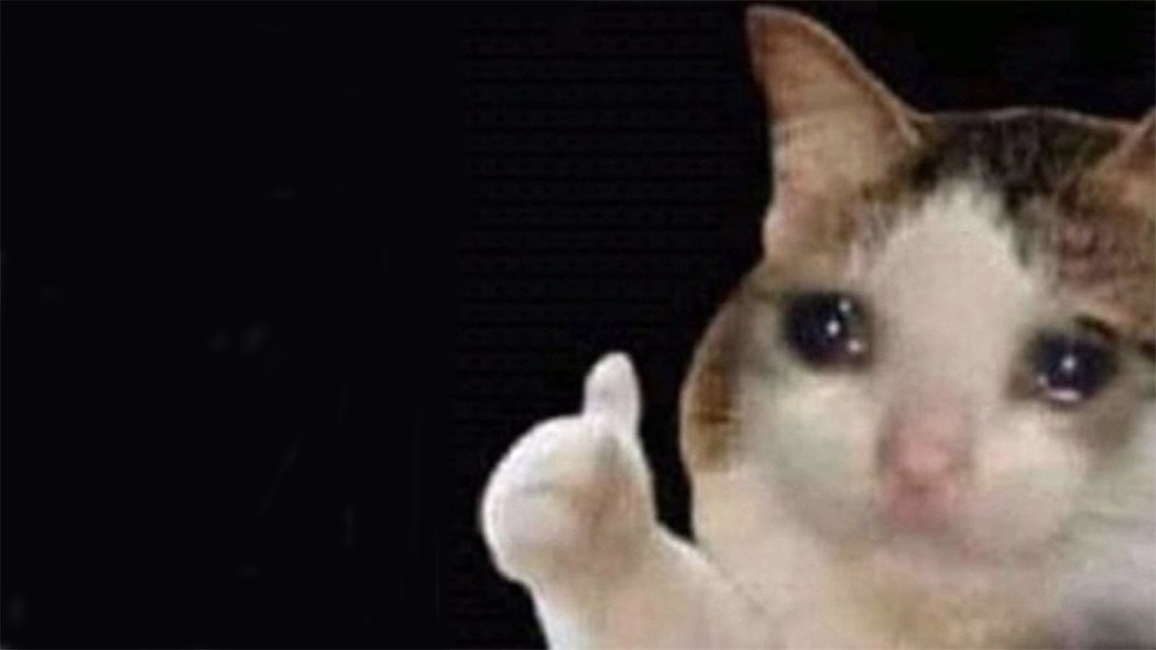 Crying Cat Meme, funny crying cat pictures