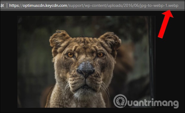 Como converter imagens WebP para PNG, JPG no Chrome, Coc Coc