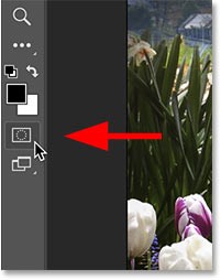 Comment transformer une photo en peinture à laide de la fonction Remplissage génératif dans Photoshop