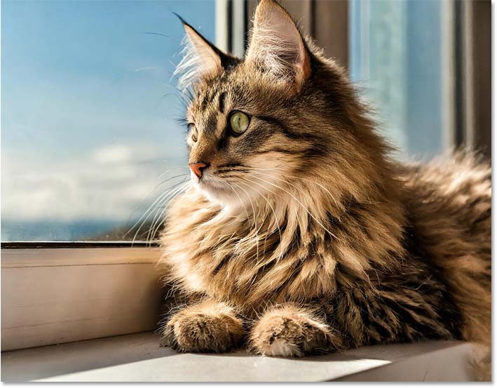 How to Use Visual Intensity in Adobe Firefly for More Detailed Images