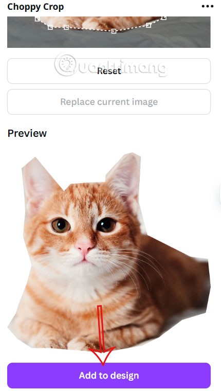 Cómo recortar fotos para darle forma en Canva Cómo recortar fotos para darle forma en Canva