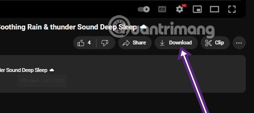 如何簡單快速地下載Youtube視頻