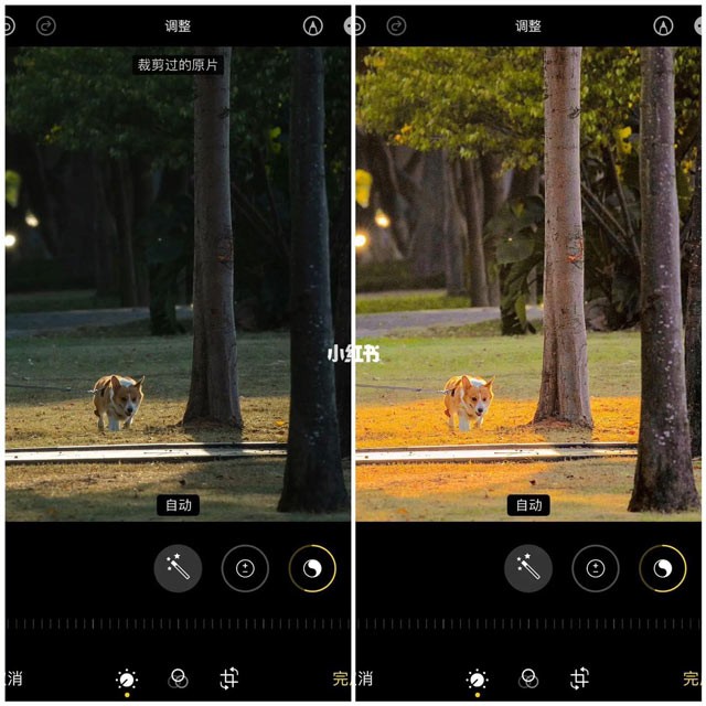 Fórmulas de edición de fotos geniales en iPhone