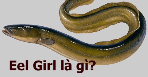 What is Eel Girl? Why is Eel Girl scary?