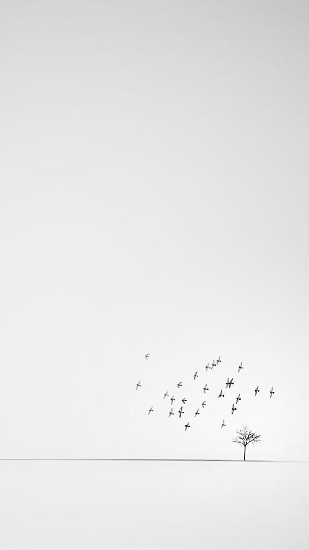 Papel de parede branco, lindo papel de parede branco