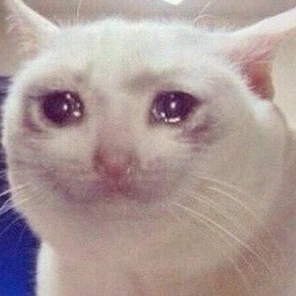 Crying Cat Meme, funny crying cat pictures