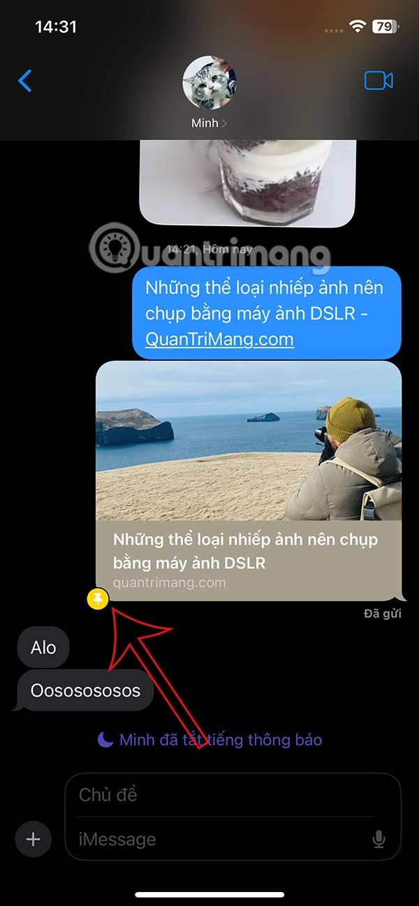 如何在 iPhone 資訊中固定分享內容