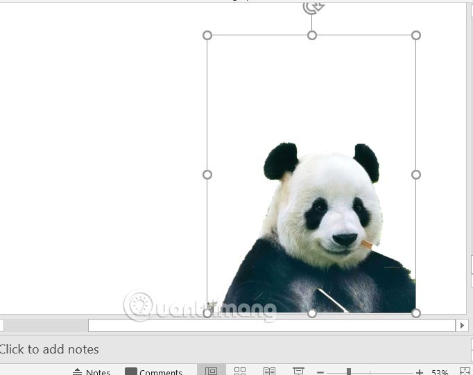 Comment supprimer l'arrière-plan d'une image dans PowerPoint Comment supprimer l'arrière-plan d'une image dans PowerPoint