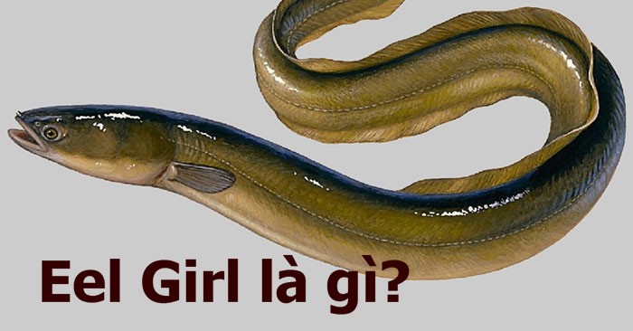 What is Eel Girl? Why is Eel Girl scary?