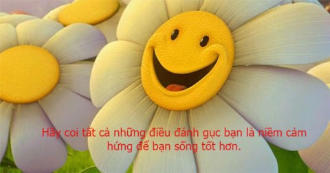 Citações positivas, status feliz, status otimista e positivo curto