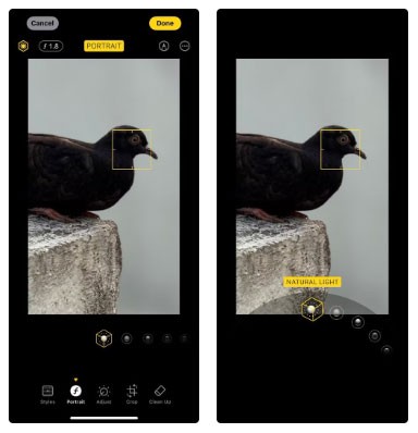 Comment utiliser les modes portrait de l'iPhone