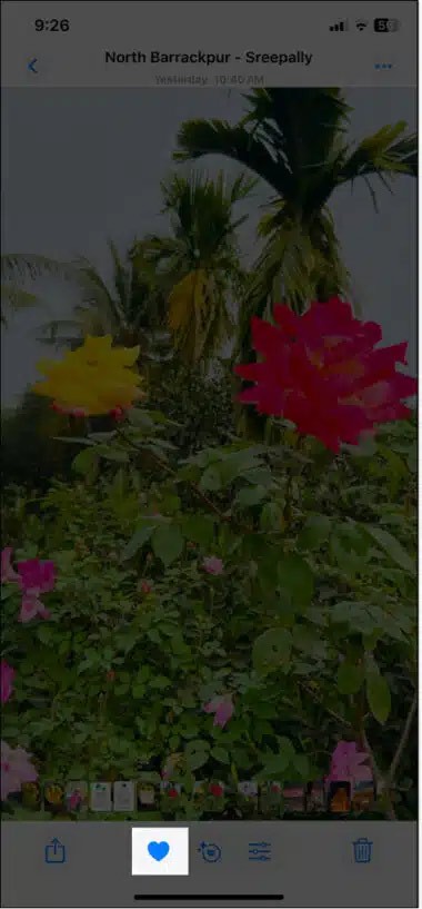 Anleitung zum Ändern ausgewählter Fotos auf dem iPhone Anleitung zum Ändern ausgewählter Fotos auf dem iPhone