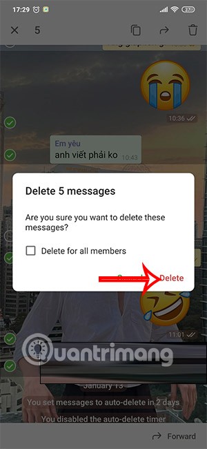 How to delete Telegram messages, Telegram message history