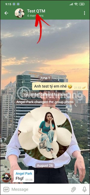 How to hide Telegram group members list