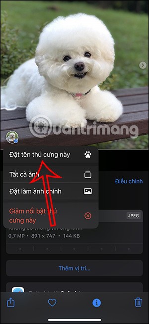 Как отметить домашних животных на фотографиях iPhone