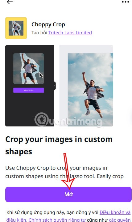 Cómo recortar fotos para darle forma en Canva Cómo recortar fotos para darle forma en Canva