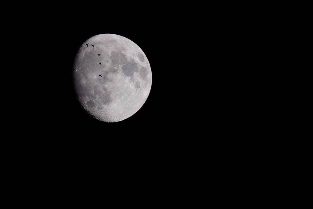 De superbes photos de la super lune du monde entier De superbes photos de la super lune du monde entier