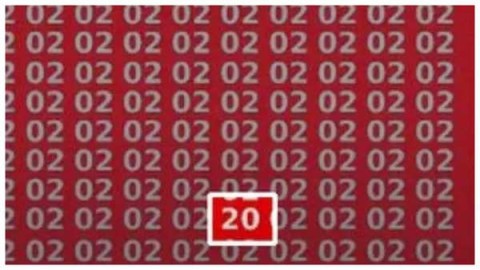 Test: Sólo un genio puede encontrar el número 20 en esta matrícula 2 en menos de 6 segundos