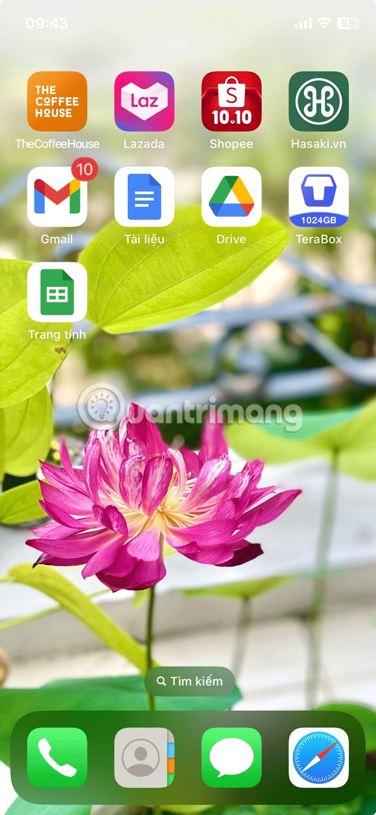 How to Open, Use, and Customize Control Center on iPhone