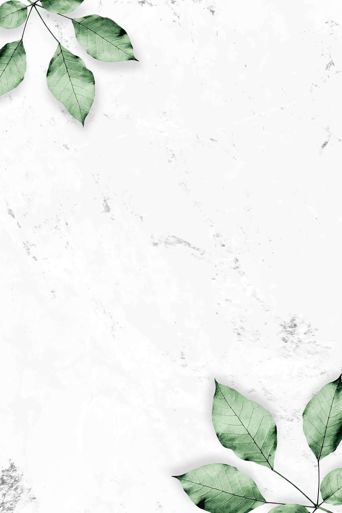 Papel de parede branco, lindo papel de parede branco