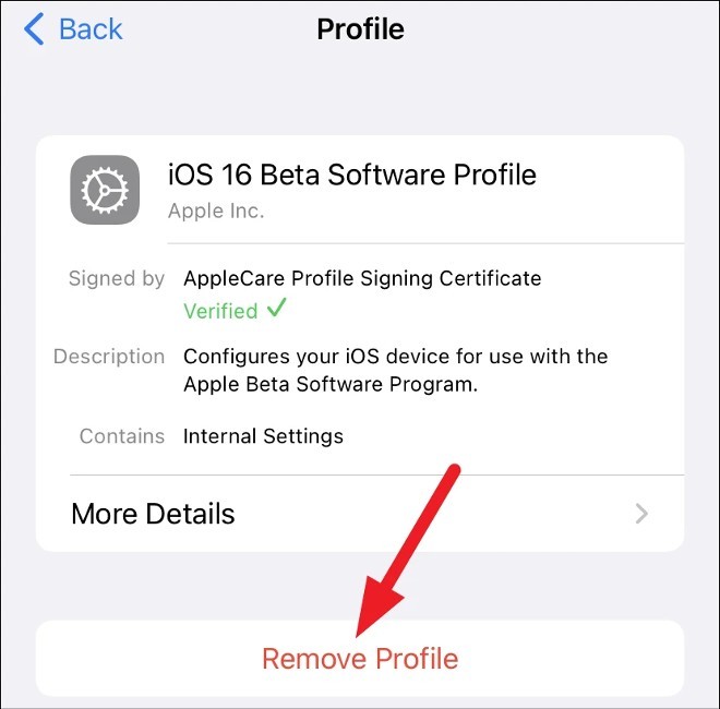 Comment rétrograder d'iOS 16 bêta 1 vers iOS 15