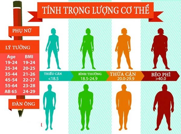 Things to know about BMI Things to know about BMI