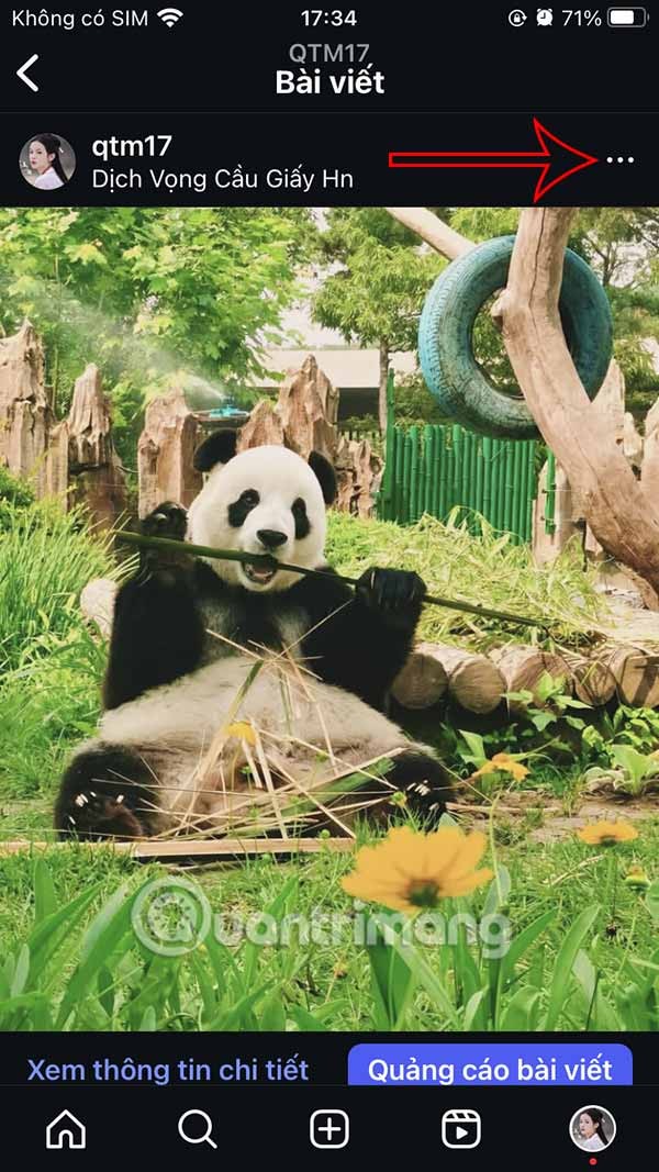 如何在 Instagram 個人檔案中編輯預覽照片
