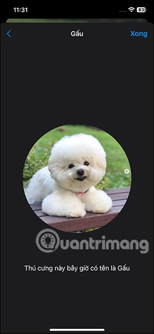 Как отметить домашних животных на фотографиях iPhone