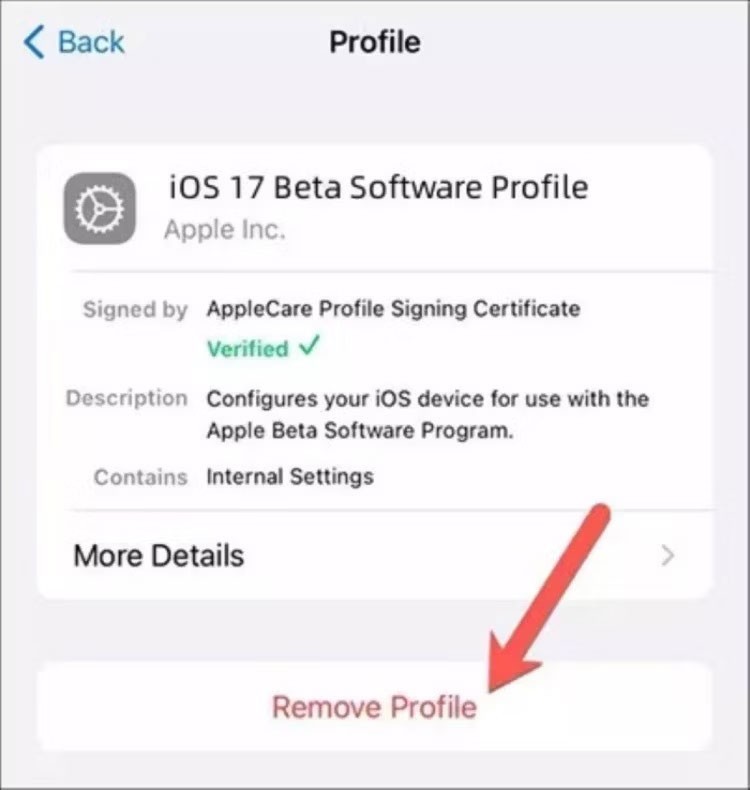 كيفية الرجوع من نظام التشغيل iOS 17 إلى نظام التشغيل iOS 16 دون فقدان البيانات باستخدام Tenorshare Reiboot