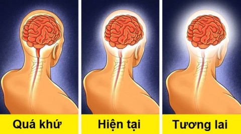 لماذا تعتبر رعاية الأطفال مفيدة لأدمغة كبار السن؟