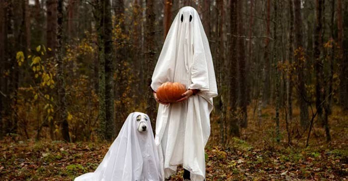 La sorprendente historia detrás de los disfraces de Halloween más populares
