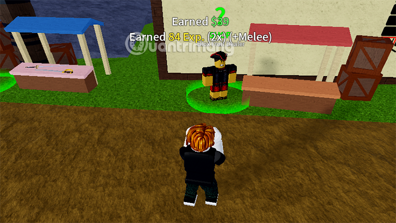 Code Blox Fruit du 25/04/2025, dernier code cadeau Blox Fruits