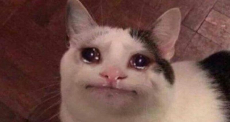 Crying Cat Meme, funny crying cat pictures