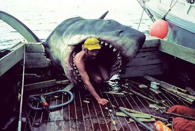 28 صورة تاريخية نادرة والقصص المذهلة وراءها