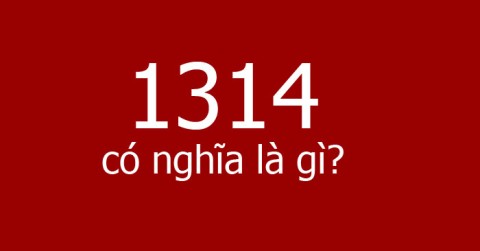 ما هو 1314؟ ما هو 1314؟