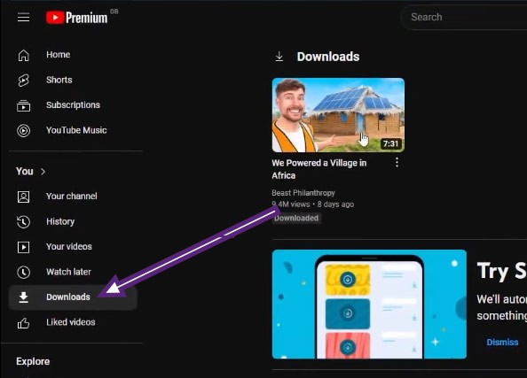 如何簡單快速地下載Youtube視頻