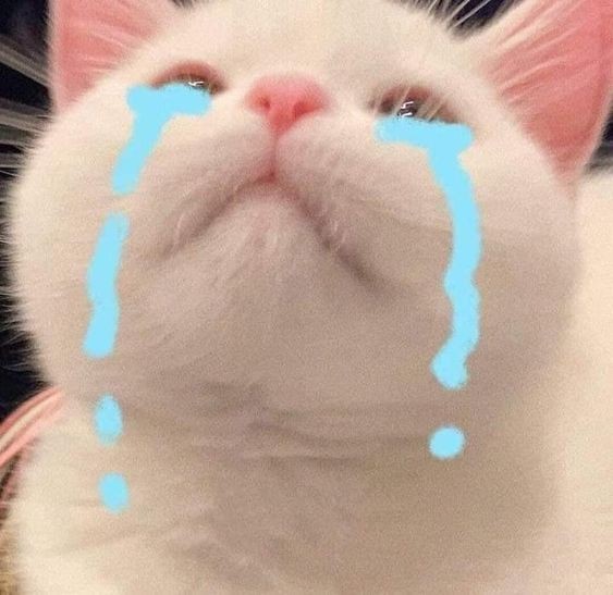 Crying Cat Meme, funny crying cat pictures