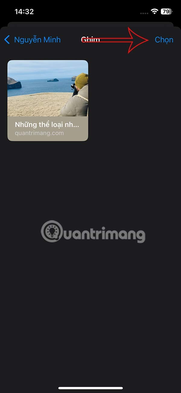 如何在 iPhone 資訊中固定分享內容