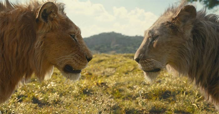 موفاسا: هل يستحق فيلم الأسد الملك المشاهدة؟