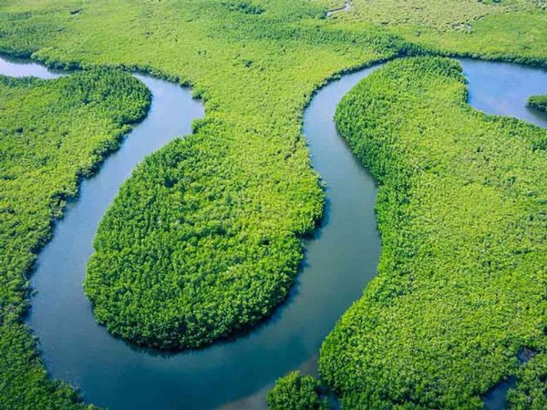 أطول 10 أنهار في العالم اليوم