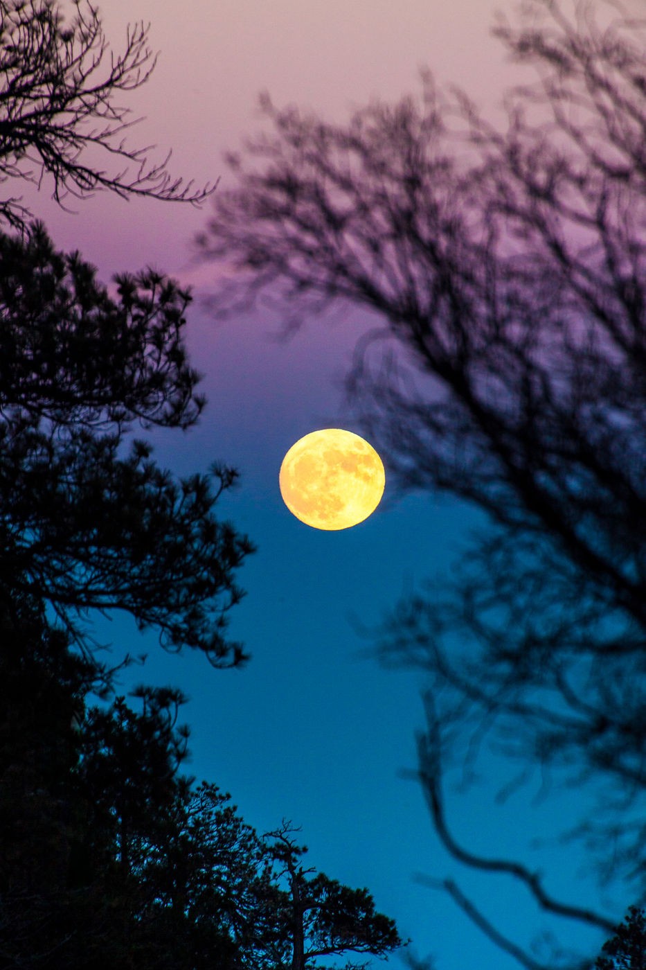 De superbes photos de la super lune du monde entier De superbes photos de la super lune du monde entier