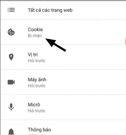 Comment activer les cookies dans Lien Quan, comment activer/désactiver les cookies sur iPhone