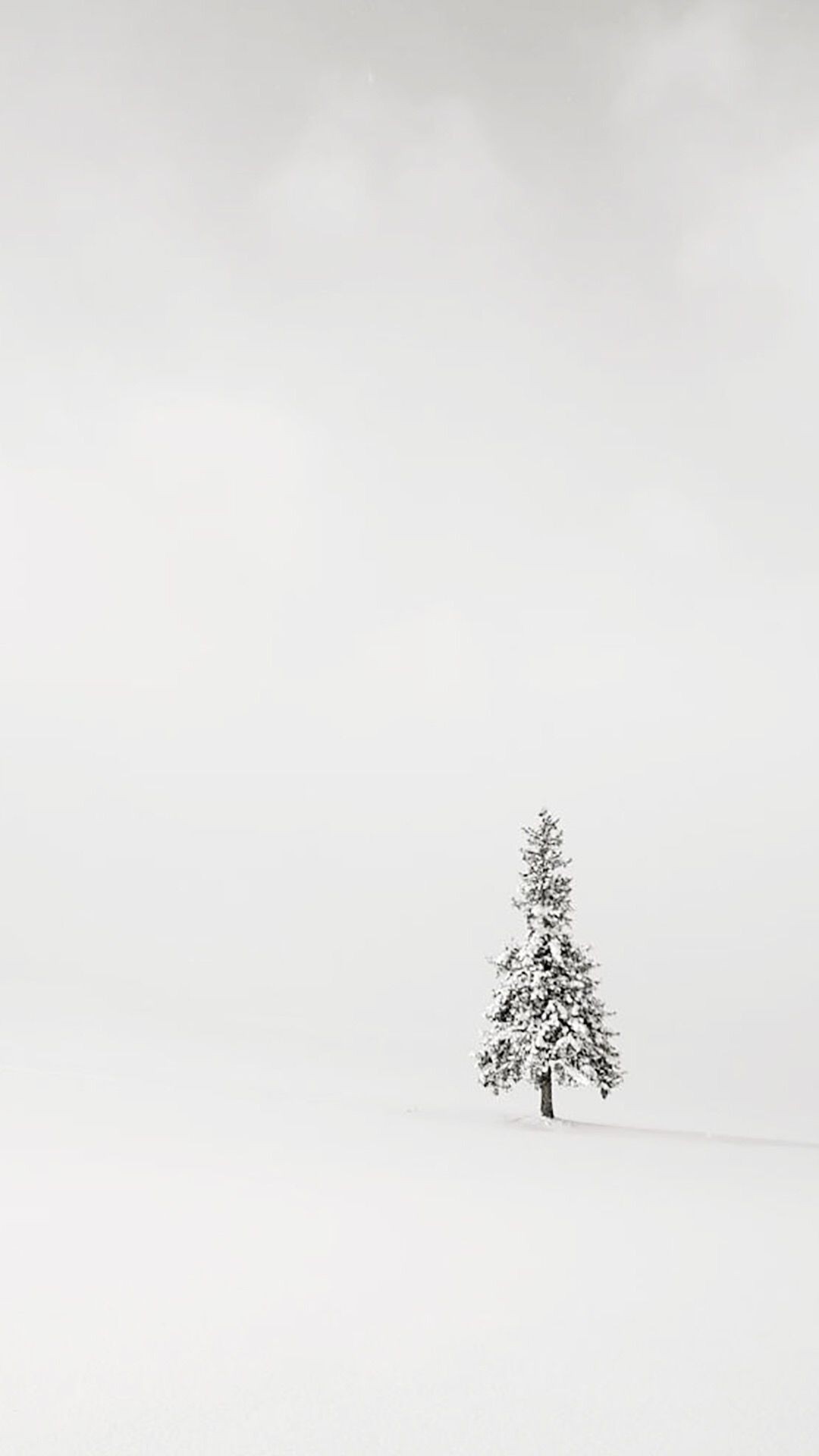 Papel de parede branco, lindo papel de parede branco