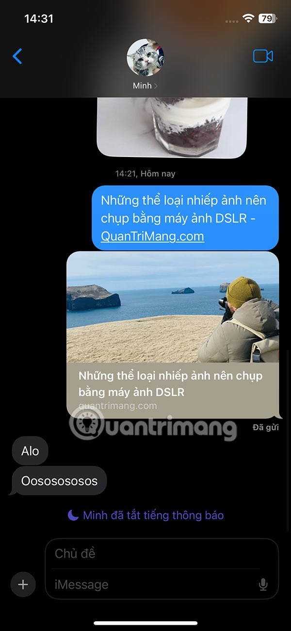 如何在 iPhone 資訊中固定分享內容