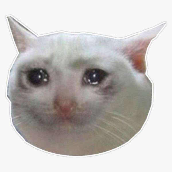 Crying Cat Meme, funny crying cat pictures