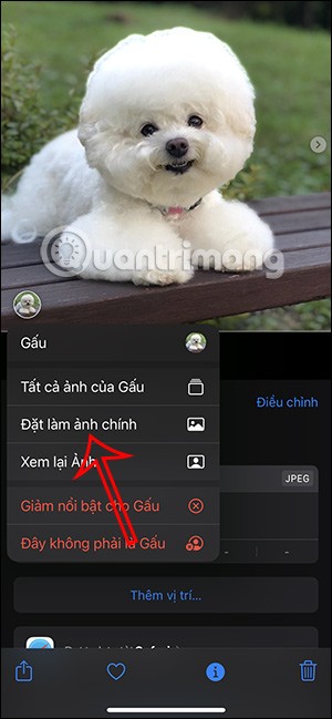 Как отметить домашних животных на фотографиях iPhone
