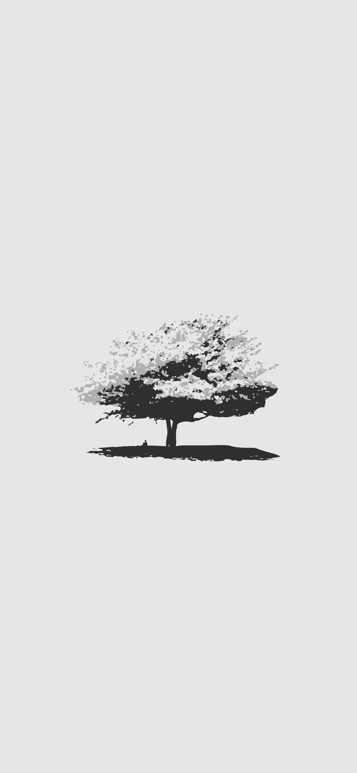 Papel de parede branco, lindo papel de parede branco