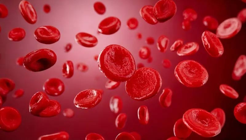 Gıda ambalajlarındaki mikroplastikler kalbe zarar verebilir ve bunu nasıl önleyebiliriz? Gıda ambalajlarındaki mikroplastikler kalbe zarar verebilir ve bunu nasıl önleyebiliriz?