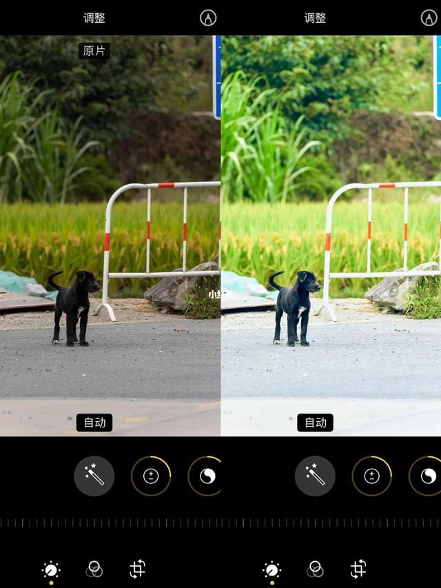 Fórmulas de edición de fotos geniales en iPhone